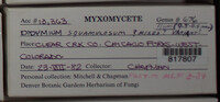 Image Associated With the Occurence